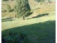 Nobbys Creek NSW 2484