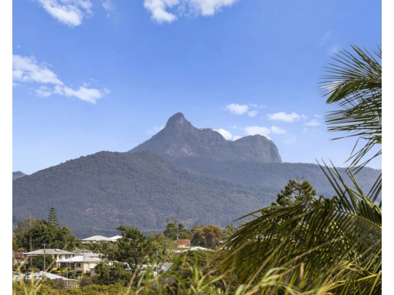 166 Murwillumbah Street, Murwillumbah NSW 2484