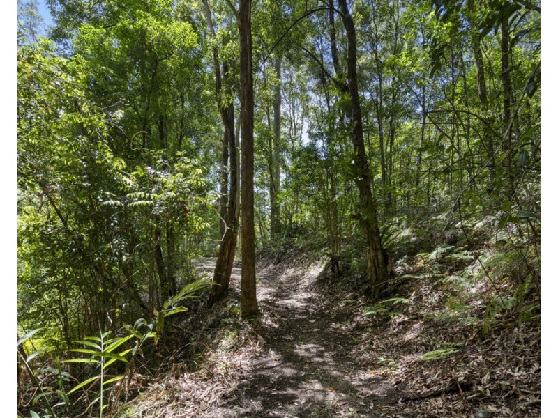 723 Hopkins Creek Road, Hopkins Creek NSW 2484