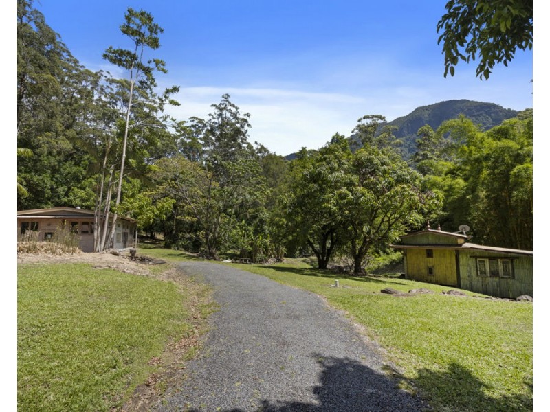 723 Hopkins Creek Road, Hopkins Creek NSW 2484
