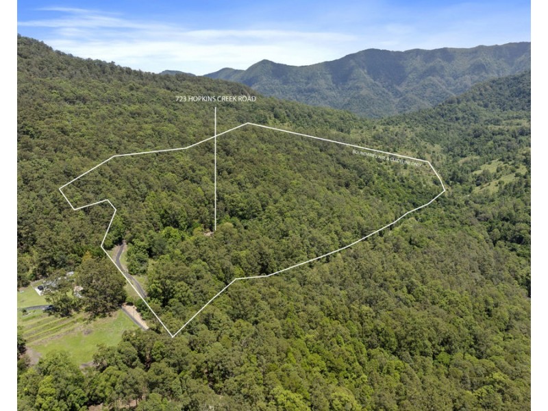 723 Hopkins Creek Road, Hopkins Creek NSW 2484