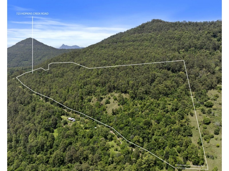 723 Hopkins Creek Road, Hopkins Creek NSW 2484