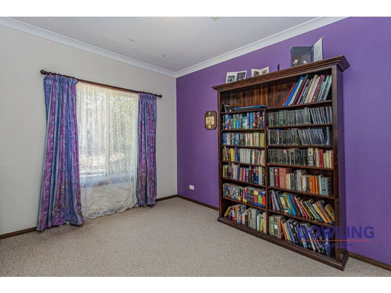 19 Rosewood Drive, Medowie NSW 2318