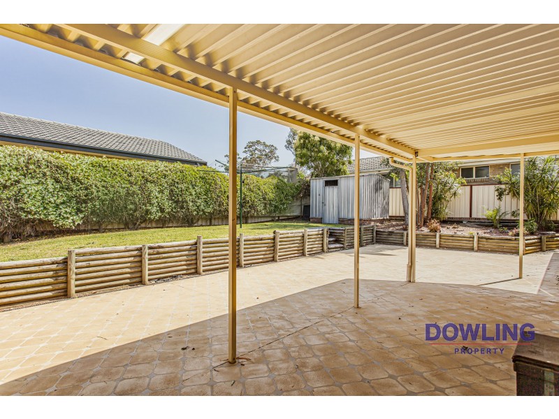 19 Rosewood Drive, Medowie NSW 2318