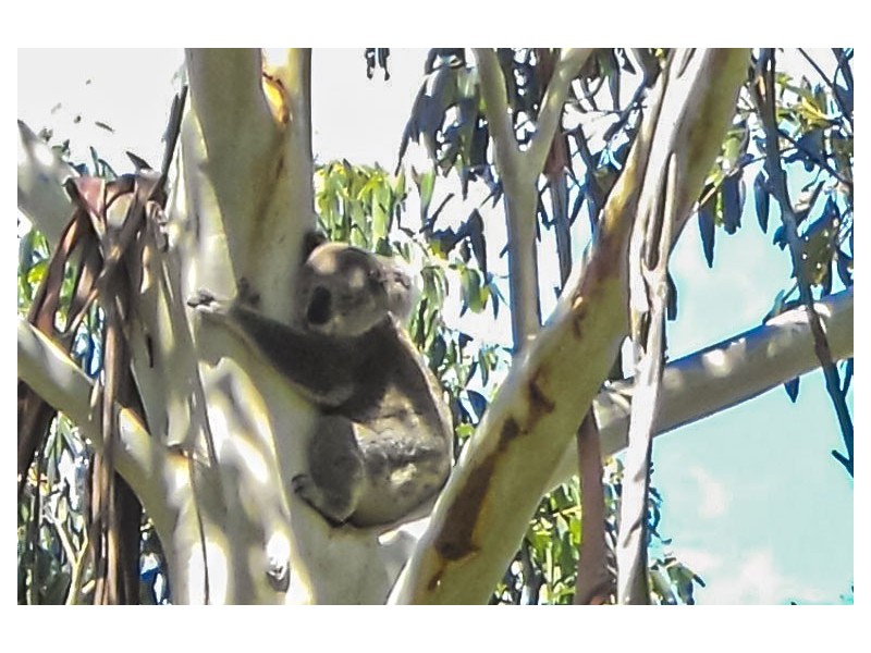 12 ADMIRALTY AVENUE, Tanilba Bay NSW 2319