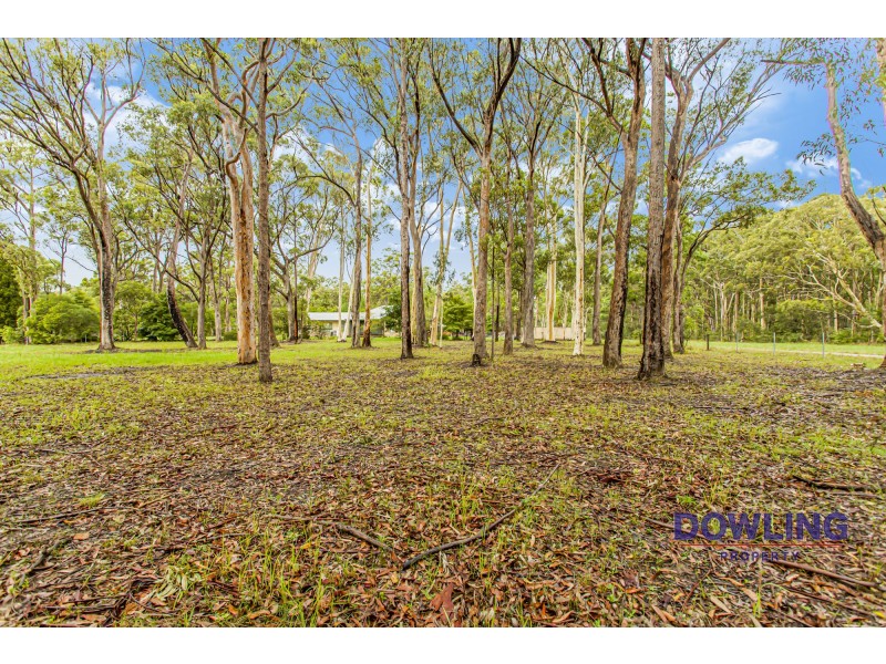 43B KULA ROAD, Medowie NSW 2318