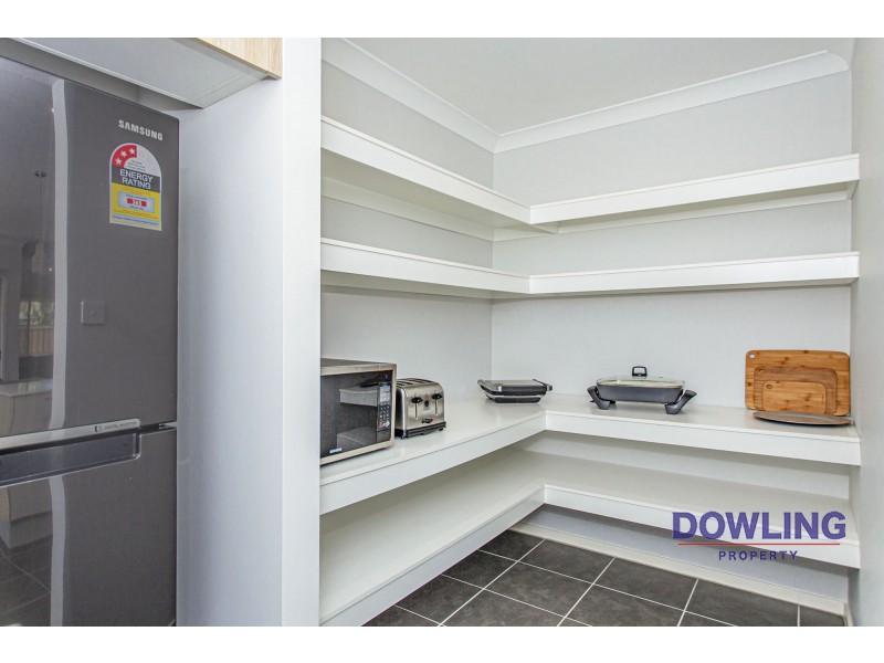 1 PORTMARNOCK CLOSE, Medowie NSW 2318