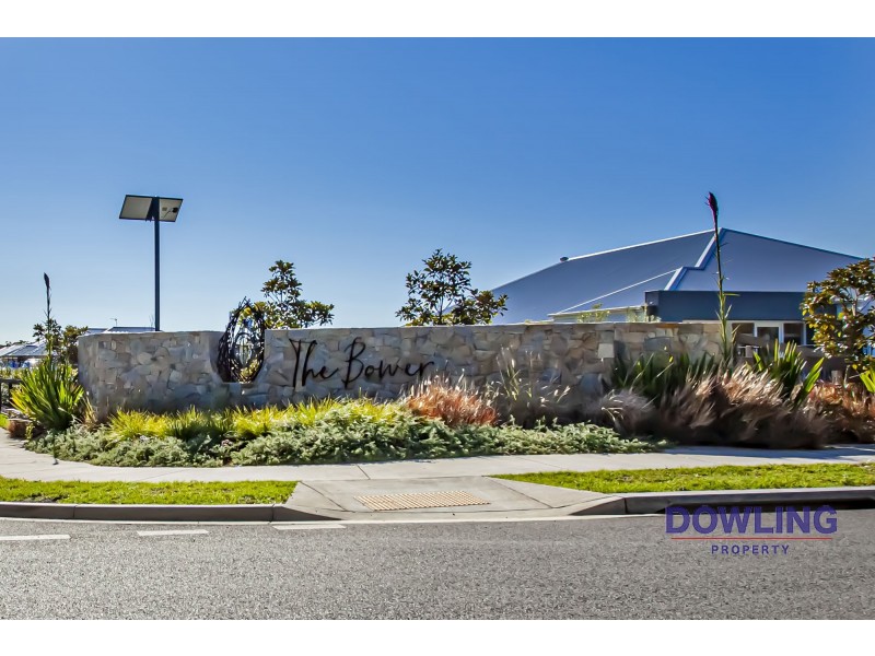 20 BOWER ROAD, Medowie NSW 2318