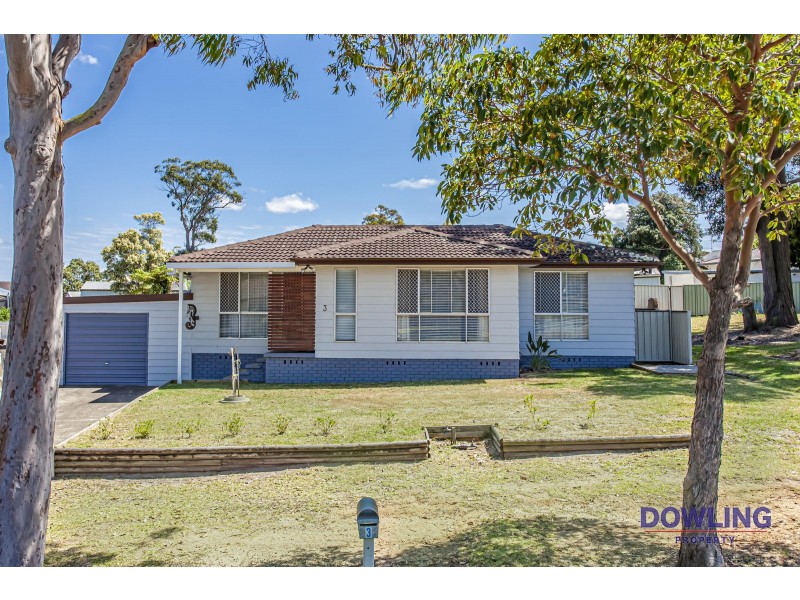 3 BRUSH BOX AVENUE, Medowie NSW 2318