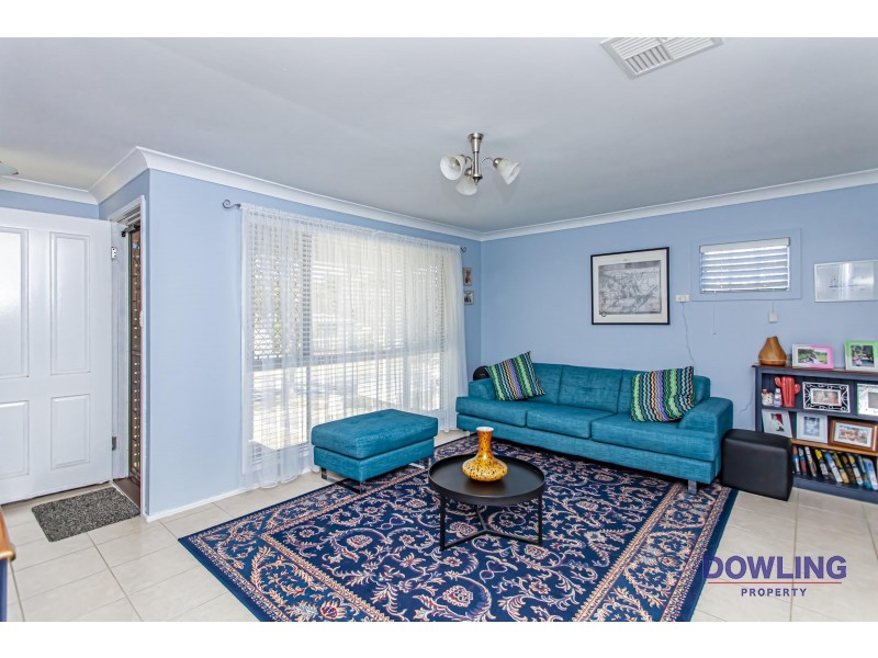 3 BRUSH BOX AVENUE, Medowie NSW 2318