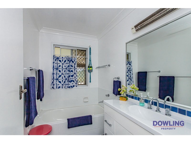 3 BRUSH BOX AVENUE, Medowie NSW 2318