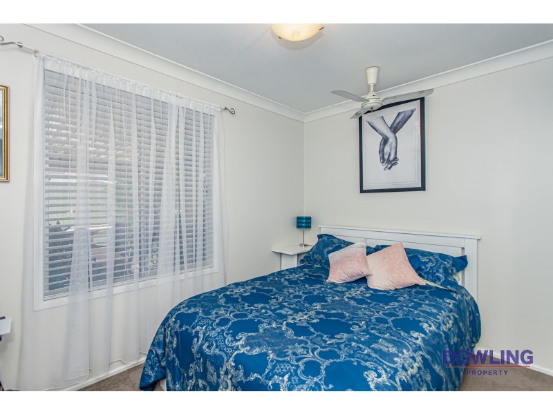 3 BRUSH BOX AVENUE, Medowie NSW 2318