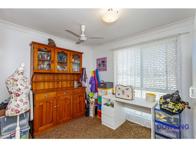 3 BRUSH BOX AVENUE, Medowie NSW 2318