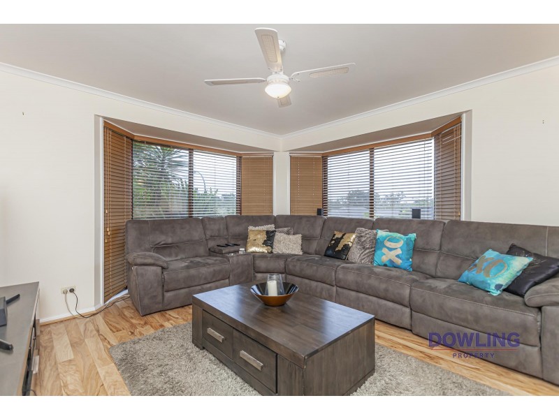 36 SASSIN CRESCENT, Medowie NSW 2318