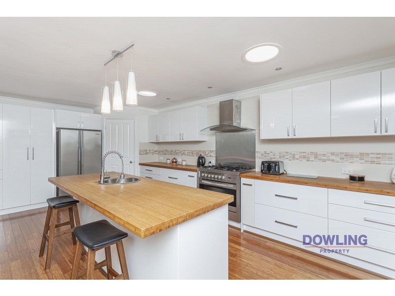 36 SASSIN CRESCENT, Medowie NSW 2318