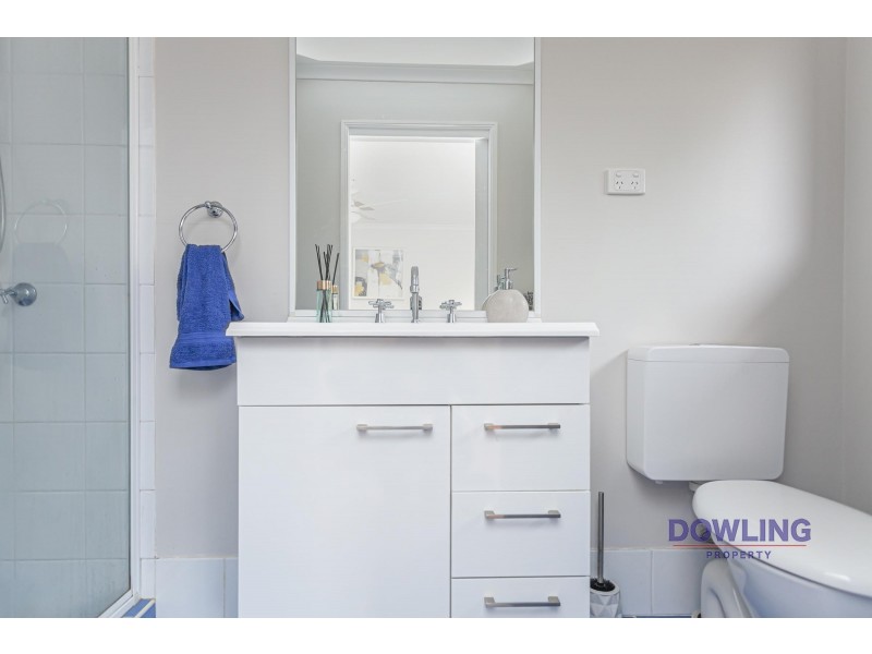 36 SASSIN CRESCENT, Medowie NSW 2318