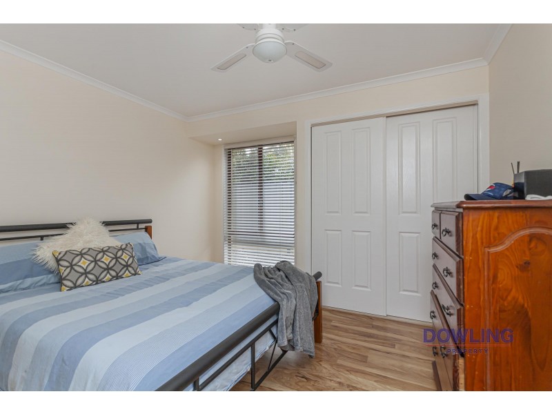 36 SASSIN CRESCENT, Medowie NSW 2318