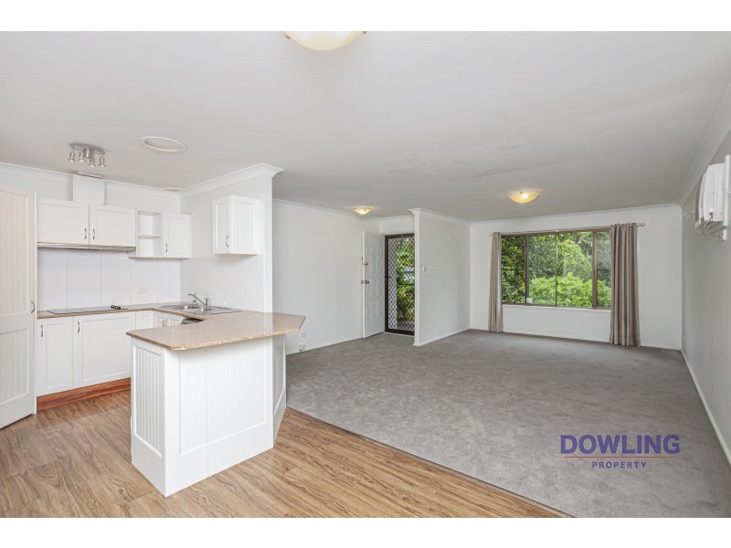 11 CASUARINA AVENUE, Medowie NSW 2318