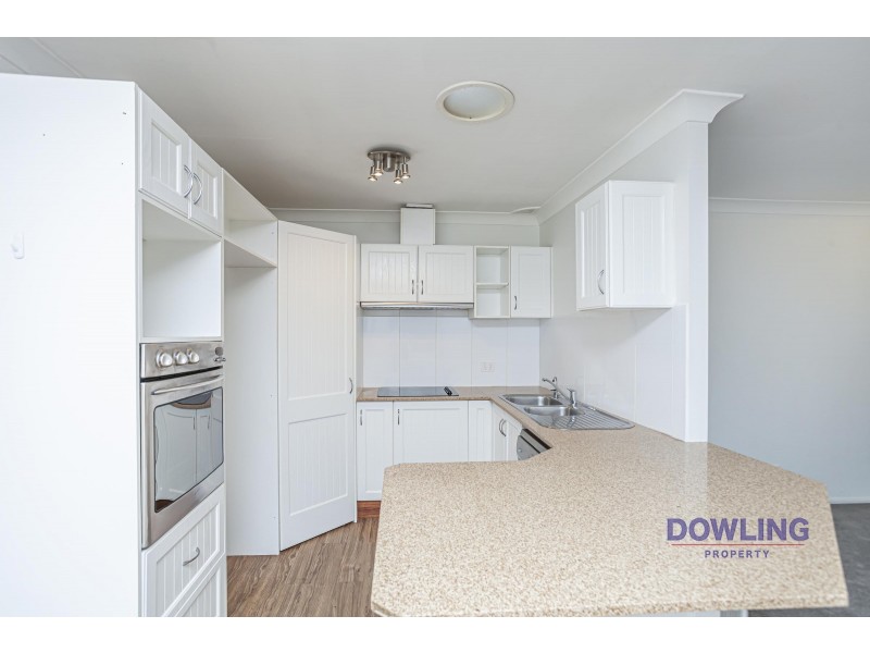 11 CASUARINA AVENUE, Medowie NSW 2318