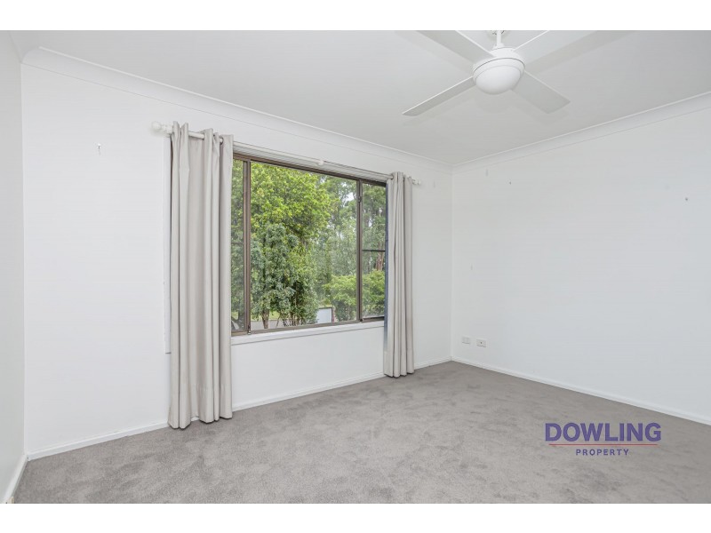 11 CASUARINA AVENUE, Medowie NSW 2318