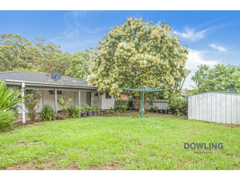 11 CASUARINA AVENUE, Medowie NSW 2318