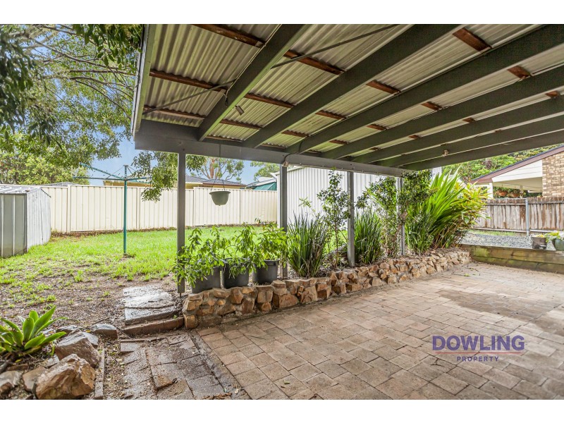 11 CASUARINA AVENUE, Medowie NSW 2318