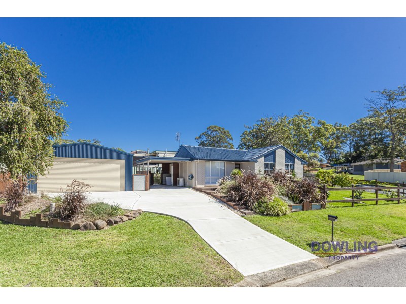 29 CASUARINA AVENUE, Medowie NSW 2318