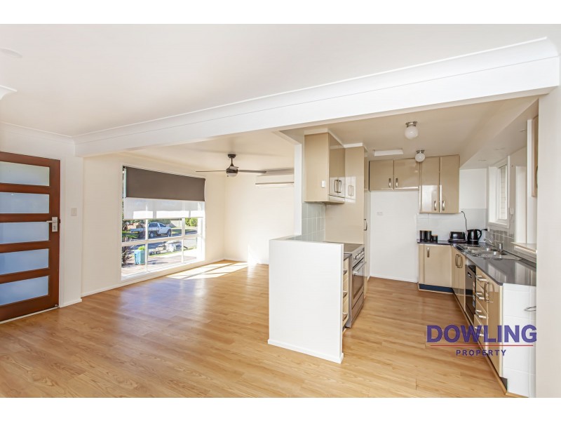 29 CASUARINA AVENUE, Medowie NSW 2318