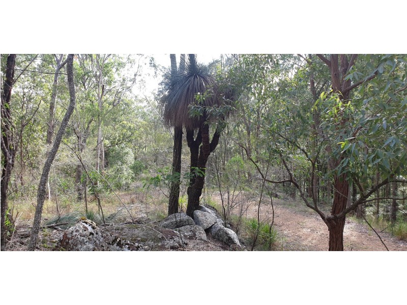 622 Green Wattle Creek Road, Duns Creek NSW 2321