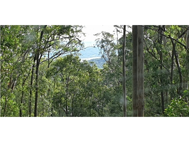 622 Green Wattle Creek Road, Duns Creek NSW 2321