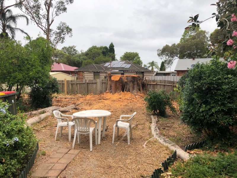 19 Kinross Street, Raymond Terrace NSW 2324