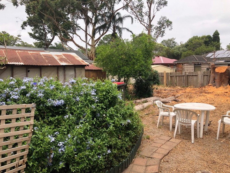 19 Kinross Street, Raymond Terrace NSW 2324