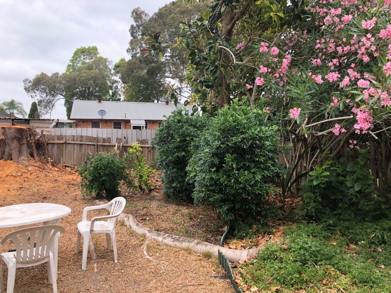 19 Kinross Street, Raymond Terrace NSW 2324