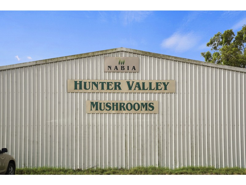 933 Richardson Road, Campvale NSW 2318