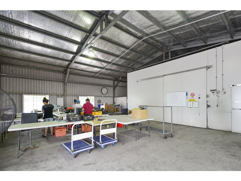 933 Richardson Road, Campvale NSW 2318