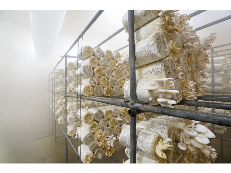 933 Richardson Road, Campvale NSW 2318