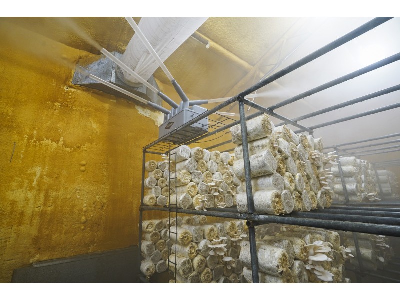 933 Richardson Road, Campvale NSW 2318