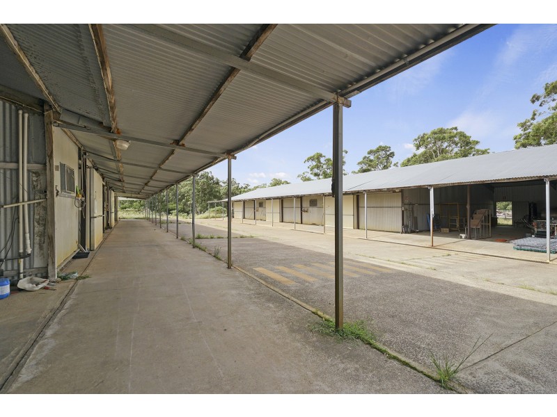 933 Richardson Road, Campvale NSW 2318