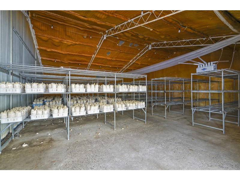 933 Richardson Road, Campvale NSW 2318