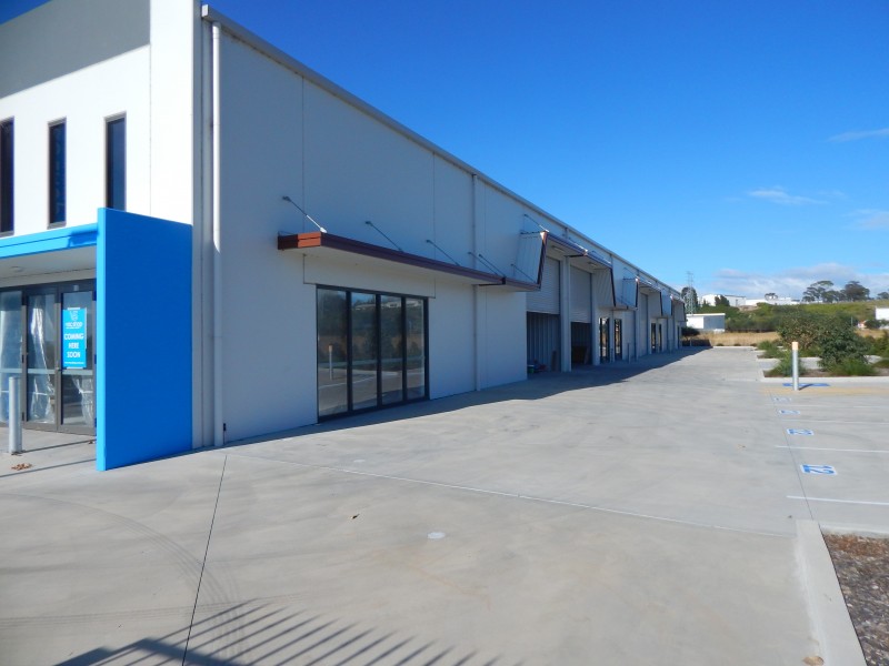 17 Riverside Drive, Mayfield West NSW 2304