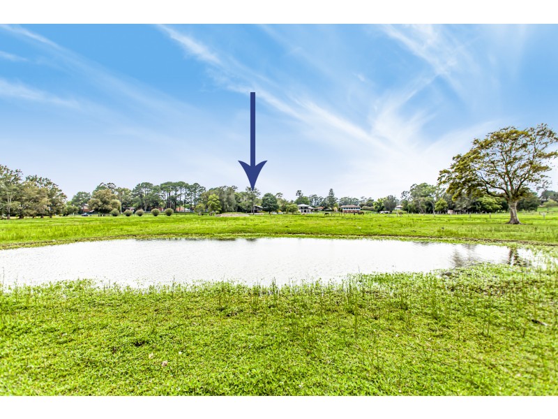 61 Sturgeon Street, Raymond Terrace NSW 2324