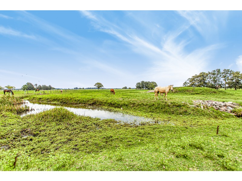 61 Sturgeon Street, Raymond Terrace NSW 2324