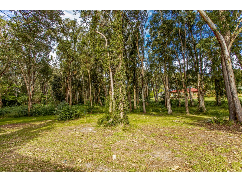 12 Middleton Close, Raymond Terrace NSW 2324