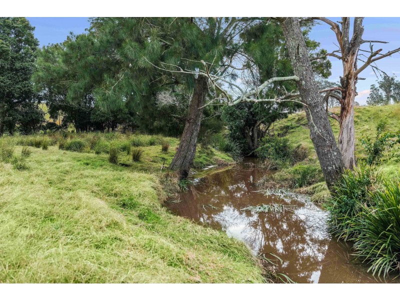 42 Welshmans Creek Road, Wallarobba NSW 2420