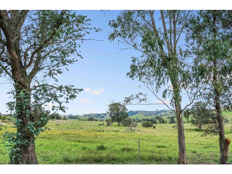 42 Welshmans Creek Road, Wallarobba NSW 2420