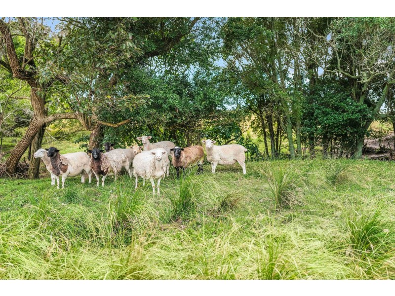 42 Welshmans Creek Road, Wallarobba NSW 2420