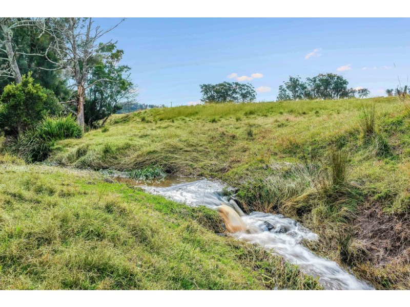 42 Welshmans Creek Road, Wallarobba NSW 2420