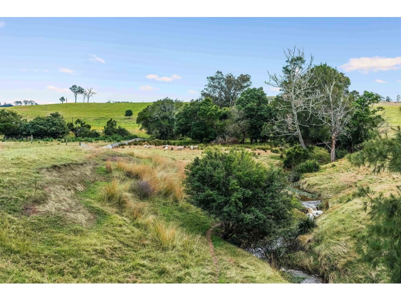 42 Welshmans Creek Road, Wallarobba NSW 2420
