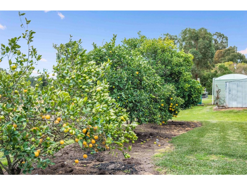 42 Welshmans Creek Road, Wallarobba NSW 2420