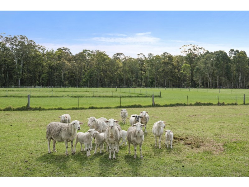 79 Boatfalls Drive, Clarence Town NSW 2321